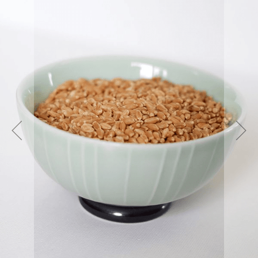 Hard White Wheat 5 gal. Bucket 36lbs. - BeReadyFoods.com