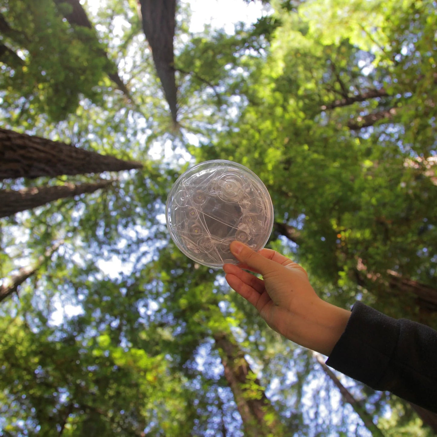 Luci Outdoor 2.0 Inflatable Solar Light - BeReadyFoods.com