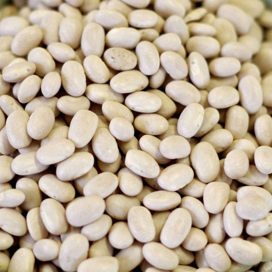 5 Gallon SP Bean Small White 36 lbs (Store Pickup Only) - BeReadyFoods.com