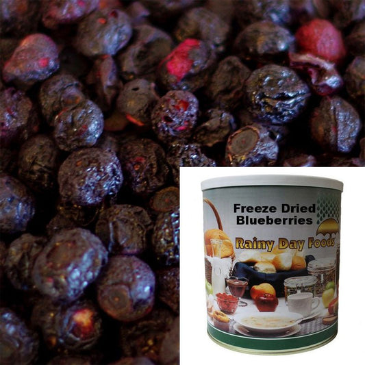 Freeze Dried Blueberries 10 oz #10 - BeReadyFoods.com