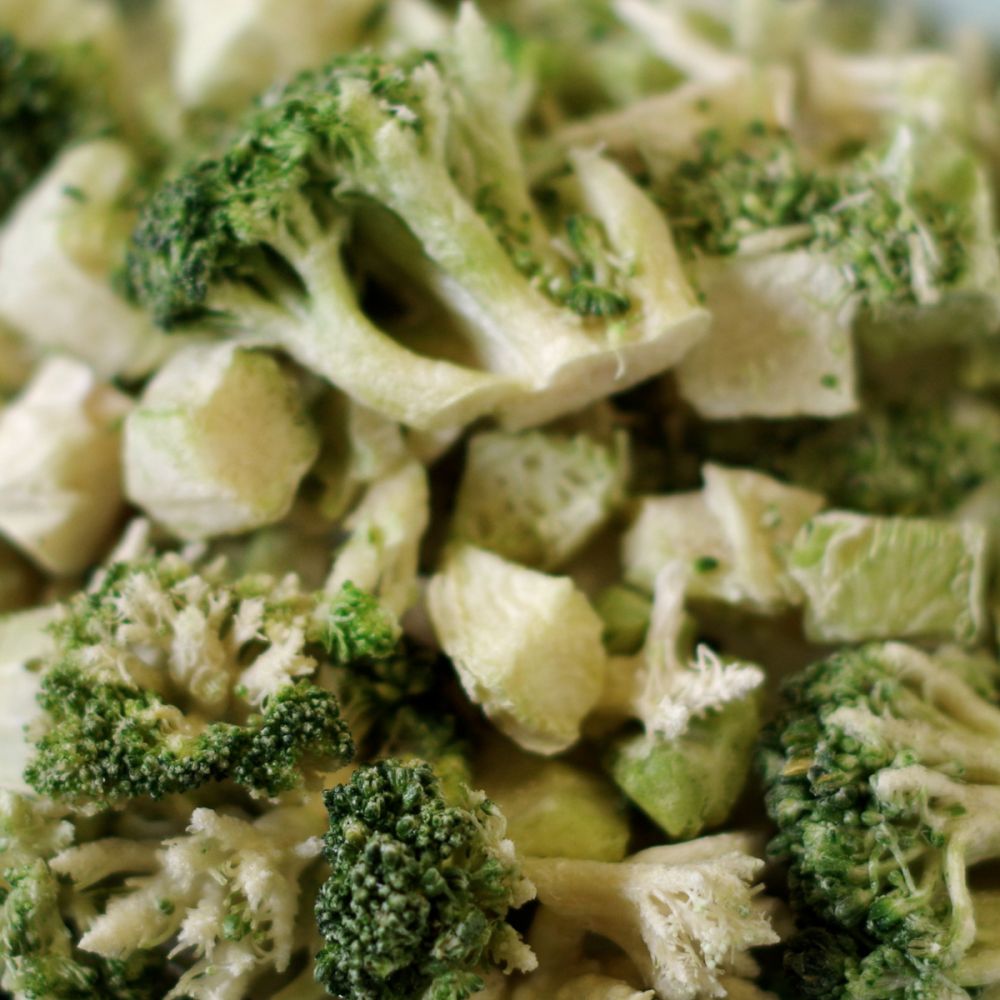 Freeze Dried Broccoli 7 oz #10 - BeReadyFoods.com