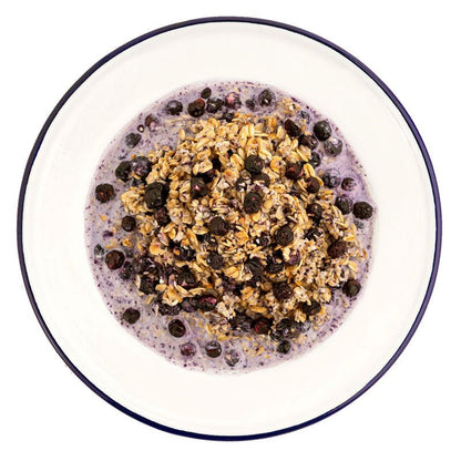 Mountain House Granola with Milk and Blueberries 4.0 oz Pouch - BeReadyFoods.com