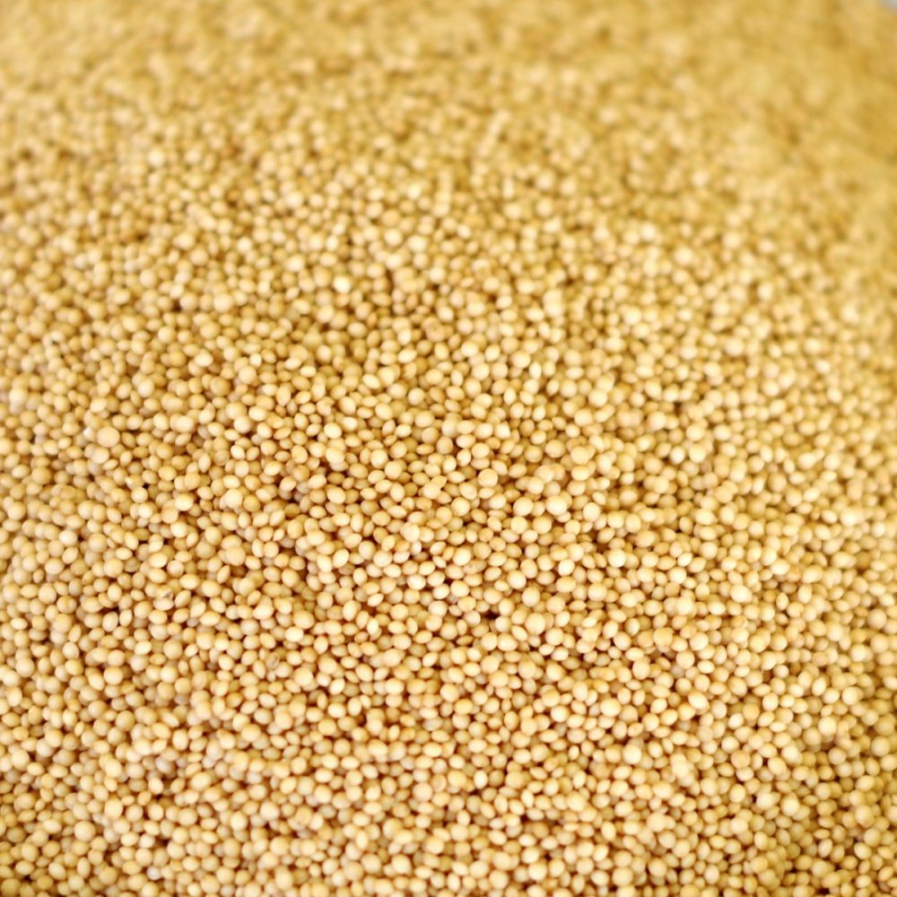 Natural Amaranth 88 oz #10 Can (Store Pickup Only) - BeReadyFoods.com
