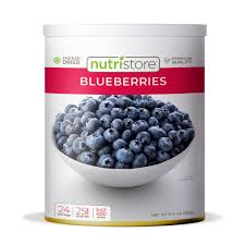 NutriStore FD Blueberries - BeReadyFoods.com