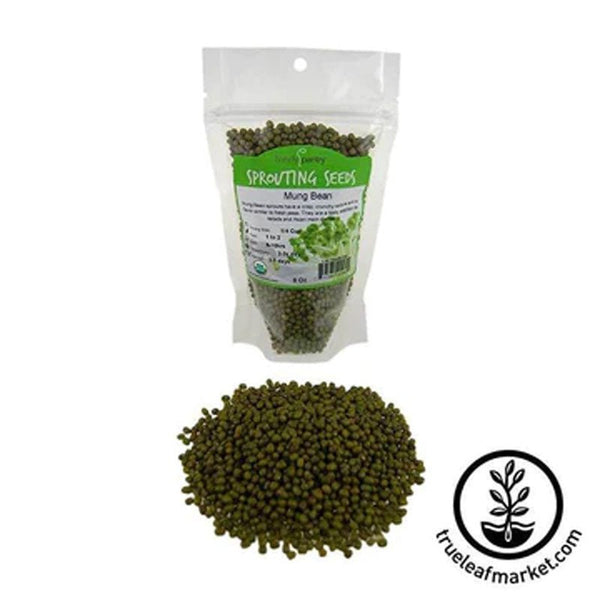 Sprouting Seeds Non-GMO Organic Mung Beans 8 oz - BeReadyFoods.com