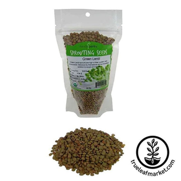 Sprouting Seeds Organic Green Lentils 8 oz - BeReadyFoods.com