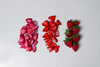 a sample image