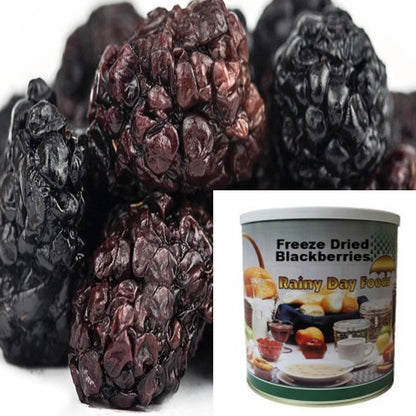 Freeze Dried Blackberries 9 oz #10 BeReadyFoods.com