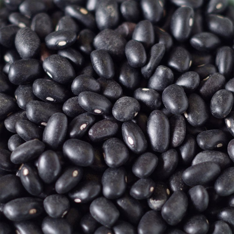 5 Gallon SP Black Beans 35 lbs (Store Pickup Only) BeReadyFoods.com