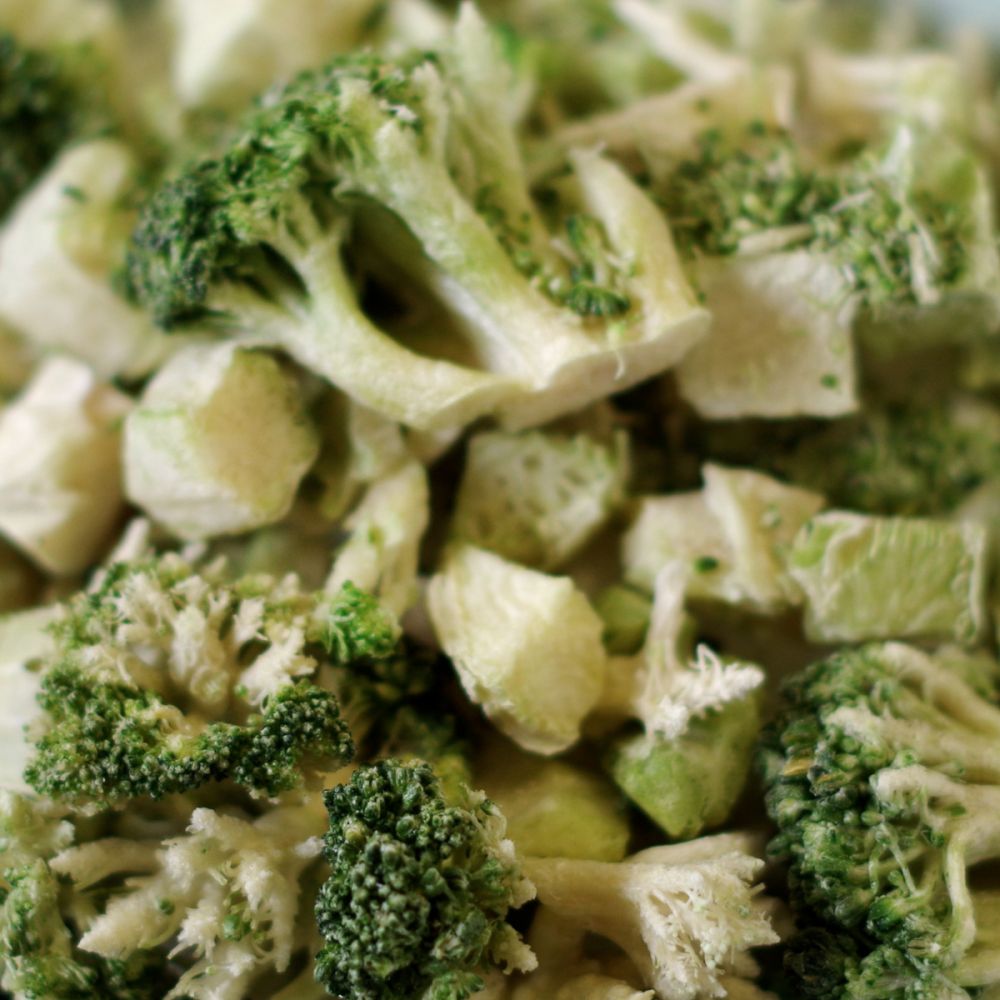 Freeze Dried Broccoli 7 oz #10 BeReadyFoods.com