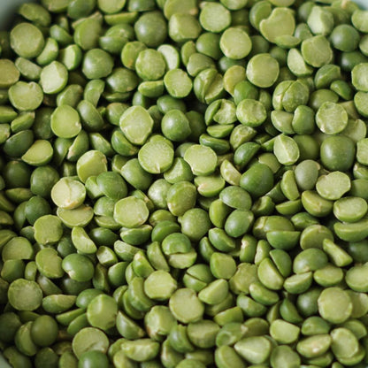 5 Gallon SP Split Green Peas 37 lbs (Store Pickup Only) BeReadyFoods.com